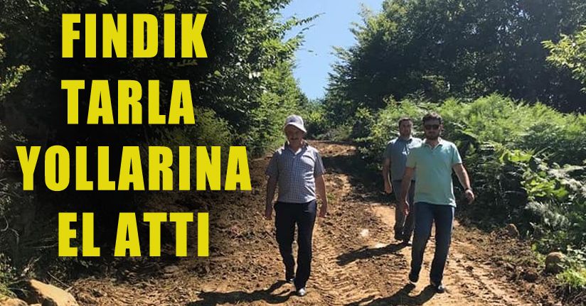 Boğaziçi’nde fındık bahçelerine ulaşım kolay olacak