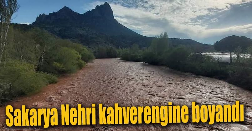 Yağışların etkisiyle Sakarya Nehri kahverengine boyandı