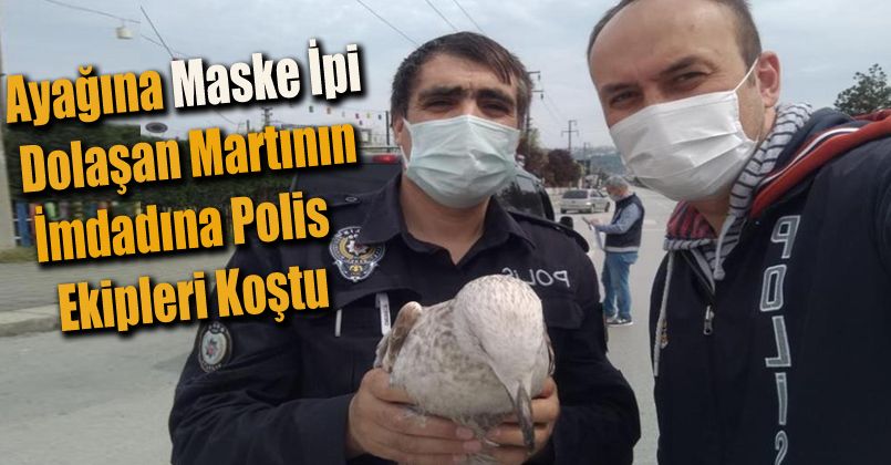 Ayağına maske ipi dolaşan martının imdadına polis ekipleri koştu
