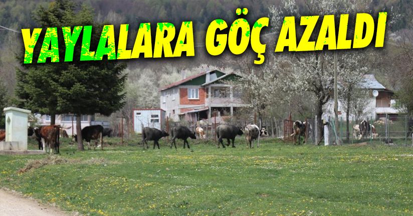 Tam kapanma yaylalara göçü azalttı