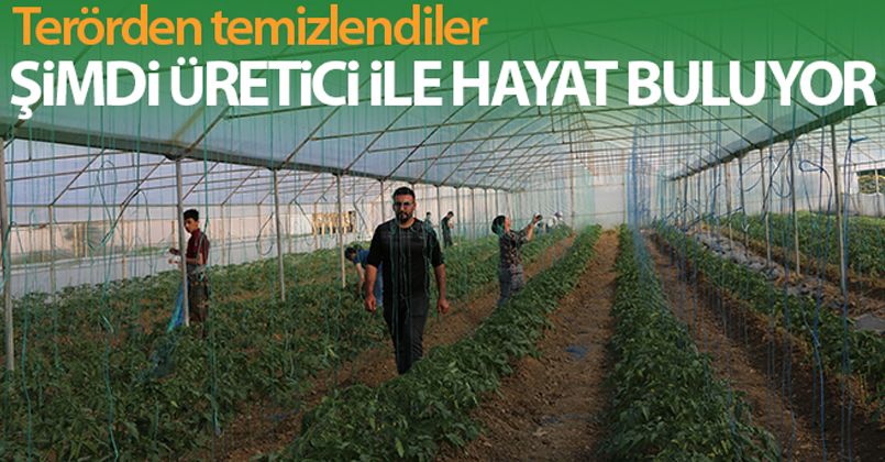 Terörden temizlenen topraklar üretici ile yeniden hayat buluyor