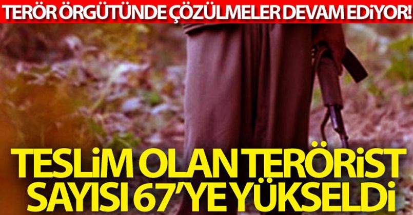 Terör örgütü PKK'da çözülme devam ediyor