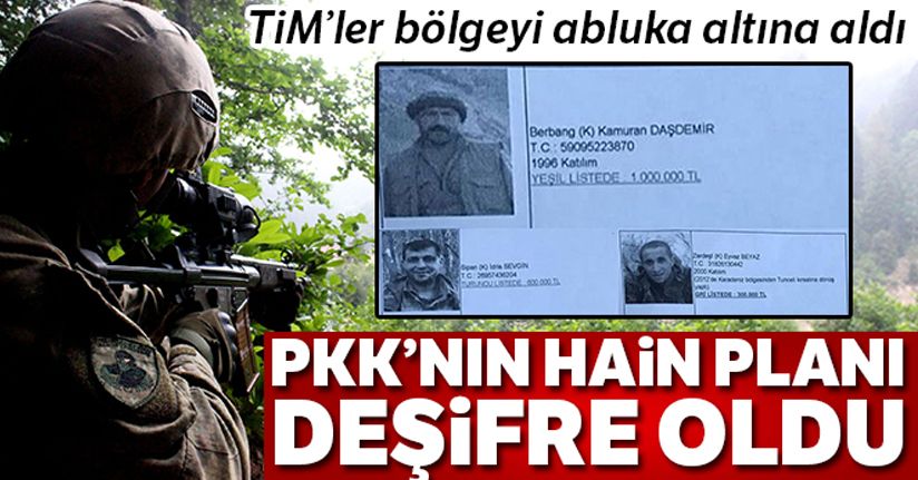 PKK'nın hain planı deşifre oldu