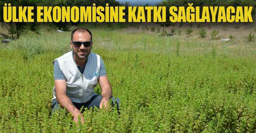 DÜ ülke ekonomisine katkı sağlıyor