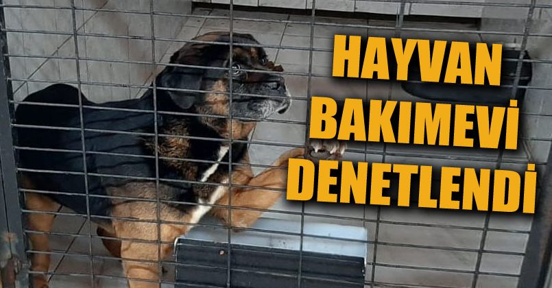 Hayvan bakım evi denetlendi