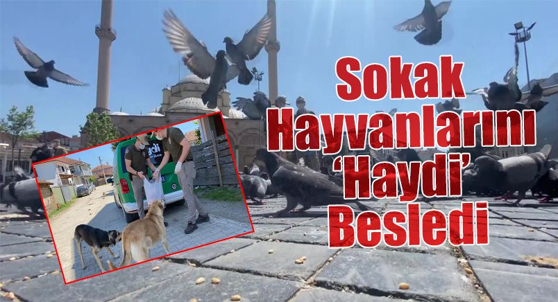 Sokak Hayvanlarını ‘Haydi’ Besledi