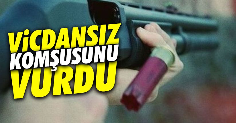 Pompalı tüfek ile kediye ateş etmek isterken komşusunu vurdu