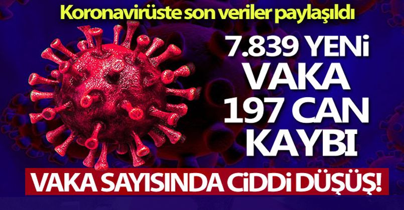 23 Mayıs 2021 Korona Virüs Tablosu