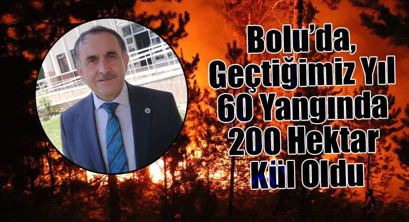 Bolu’da, Geçtiğimiz Yıl 60 Yangında 200 Hektar Kül Oldu