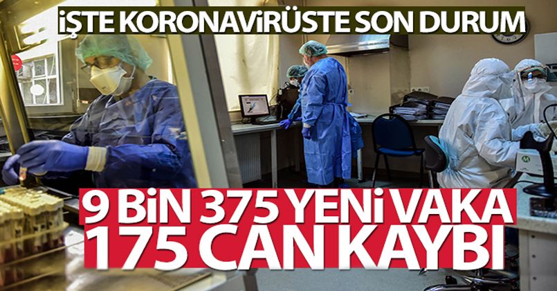 25 Mayıs 2021 Korona Virüs Tablosu
