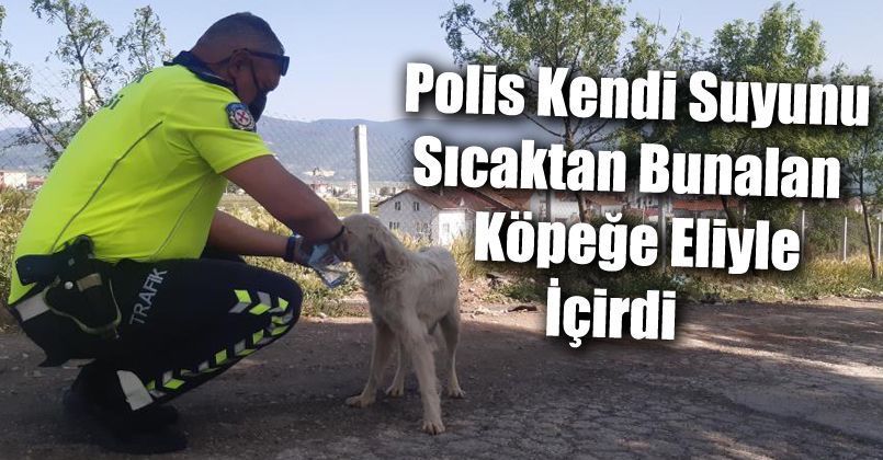 Polis, kendi suyunu sıcaktan bunalan köpeğe eliyle içirdi