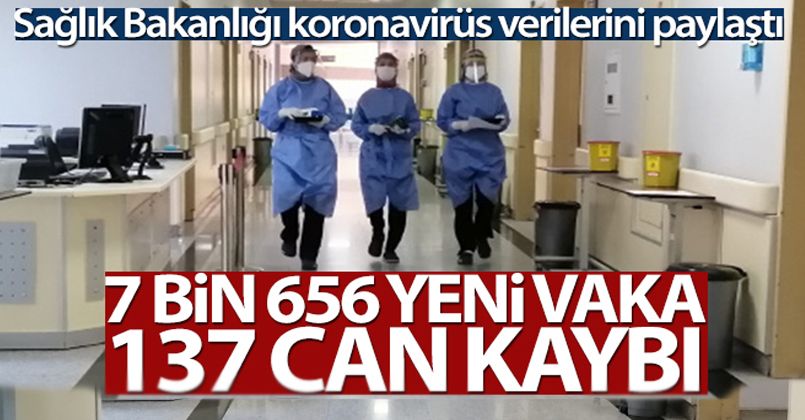 29 Mayıs 2021 Korona Virüs Tablosu