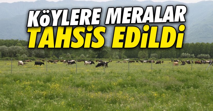 Kaynaşlı ve Çilimli'ye tahsis edildi