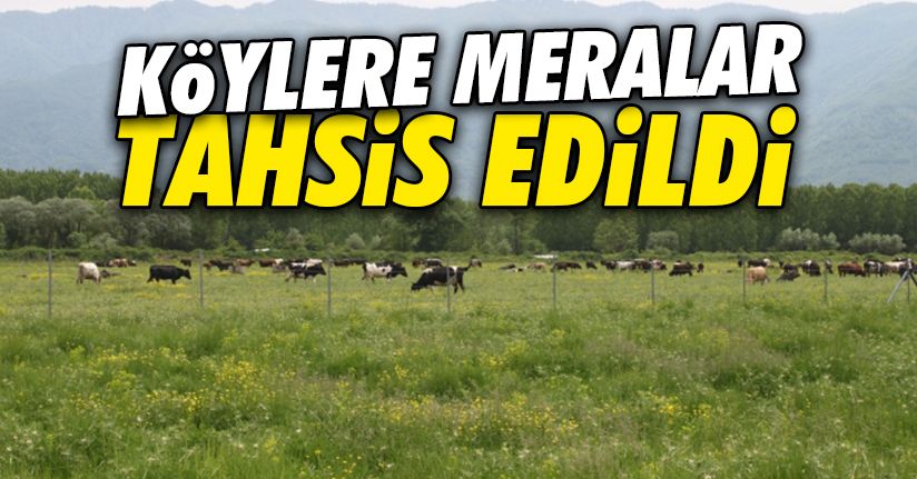 Kaynaşlı ve Çilimli'ye tahsis edildi