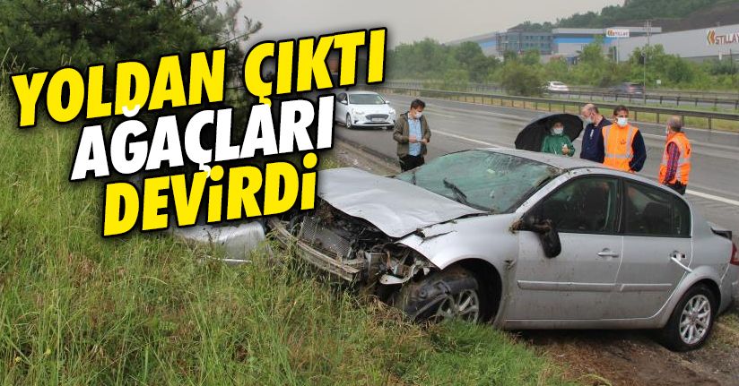Yoldan çıkan otomobil ağaçları devirdi: 1 yaralı