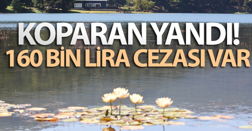 Bolu'da, tabiat parklarındaki nilüferleri koparanlara 160 bin lira ceza