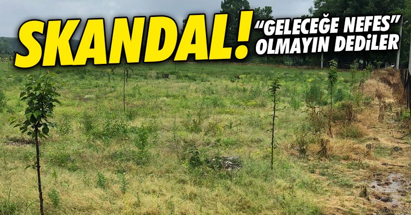 Dikilen fidanları görmezden gelin dediler