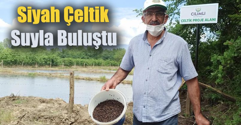Siyah çeltik suyla buluştu
