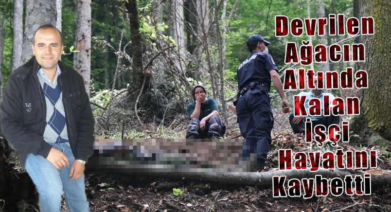 Devrilen Ağacın Altında Kalan İşçi Hayatını Kaybetti