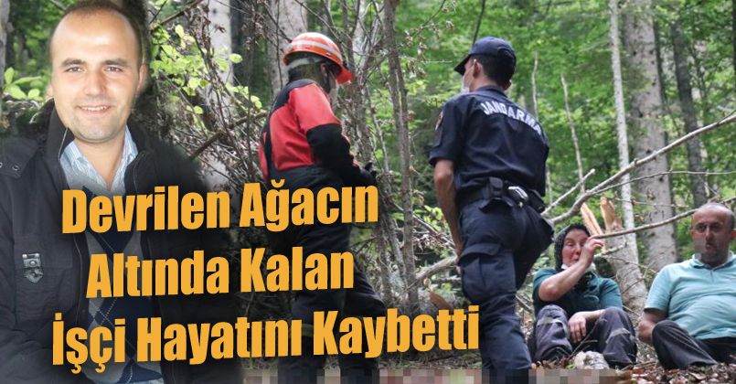 Devrilen ağacın altında kalan işçi hayatını kaybetti