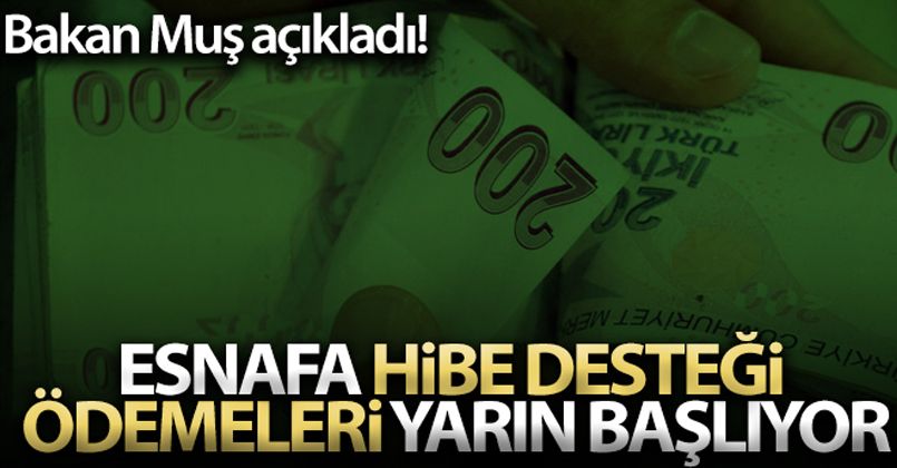 Esnafa hibe desteği ödemeleri yarın başlıyor