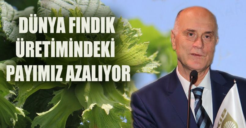 Fındığı sattırmayanlar hesap verdiler mi?