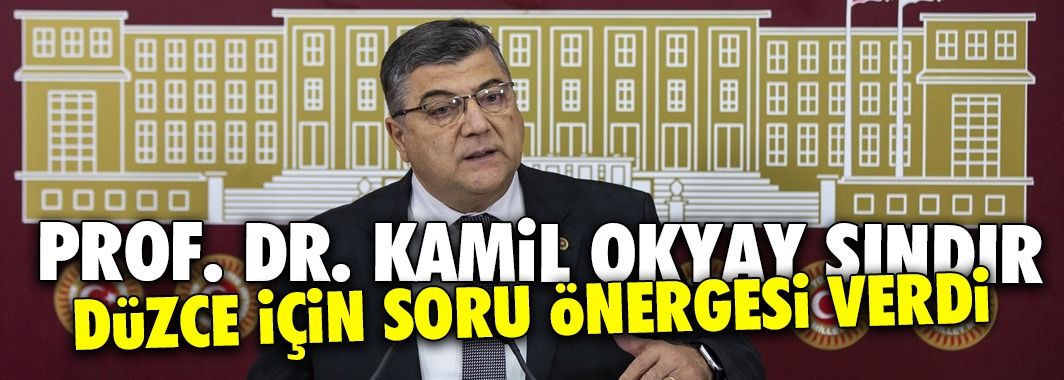 CHP'li Vekil Prof. Dr. Kamil Okyay Sındır'dan Düzce İçin Soru Önergesi