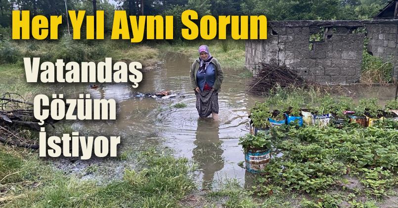 Yoğun yağmurda dereler taşınca tarım arazilerini su altında kaldı