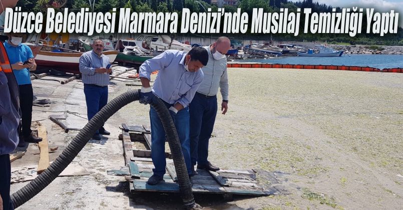 Düzce Belediyesi Marmara Denizi’nde musilaj temizliği yaptı