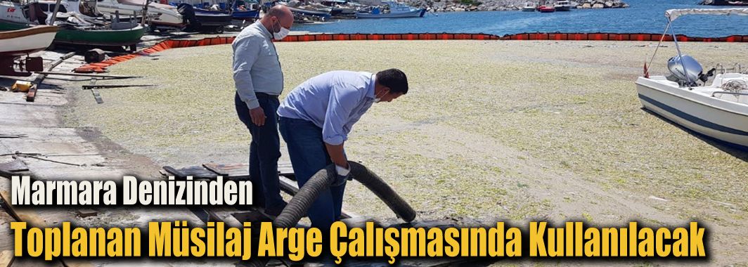 Marmara Denizinden Toplanan Müsilaj Arge Çalışmasında Kullanılacak