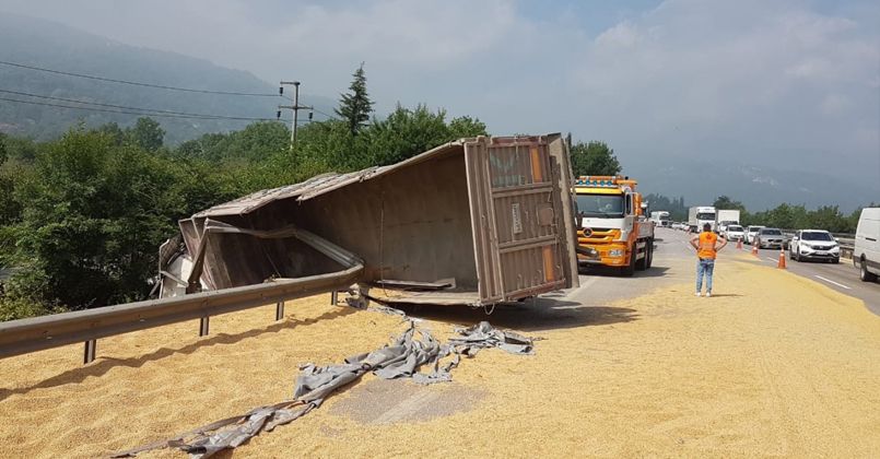 TEM Otoyolunda soya fasulyesi yüklü tır devrildi