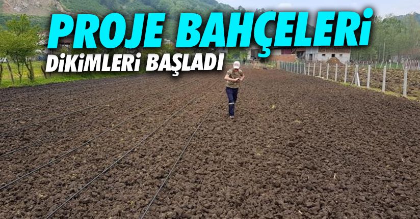 118 bahçede uygulamalı projelerin dikimleri başladı