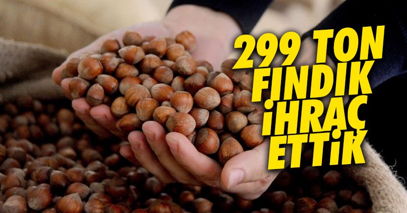 AB ülkelerine 299 ton 300 kilo fındık ihraç edildi