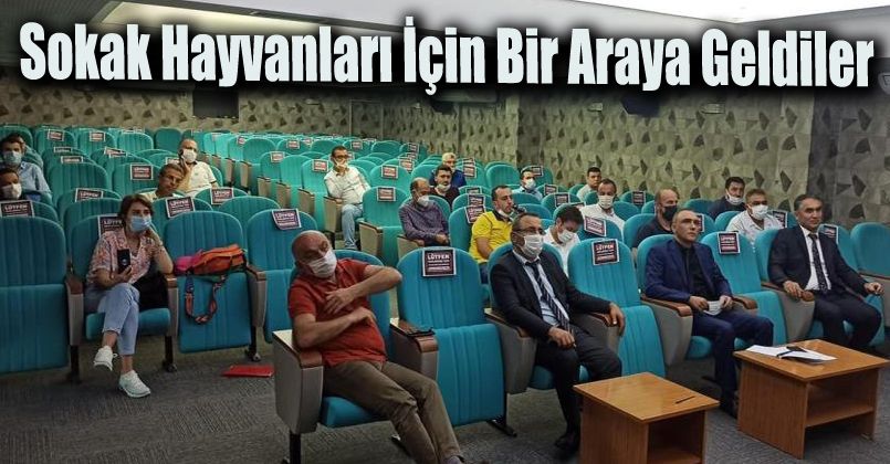 Sokak hayvanları için bir araya geldiler