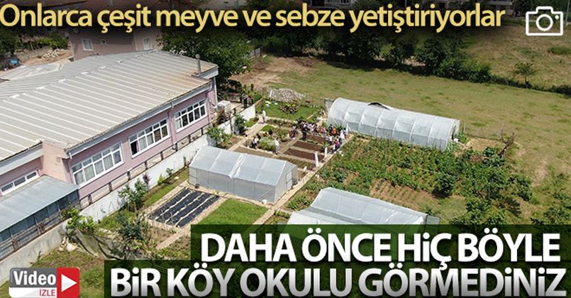 Daha önce hiç böyle bir köy okulu görmediniz