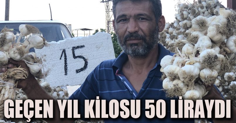Sarımsakta üretim arttı fiyat düştü