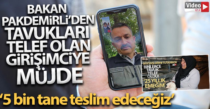 Bakan Pakdemirli tavukları telef olan kadın girişimciyi sevindirdi
