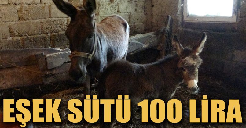 Bir litresi 100 TL'den satılıyor, pandemi onu da etkiledi
