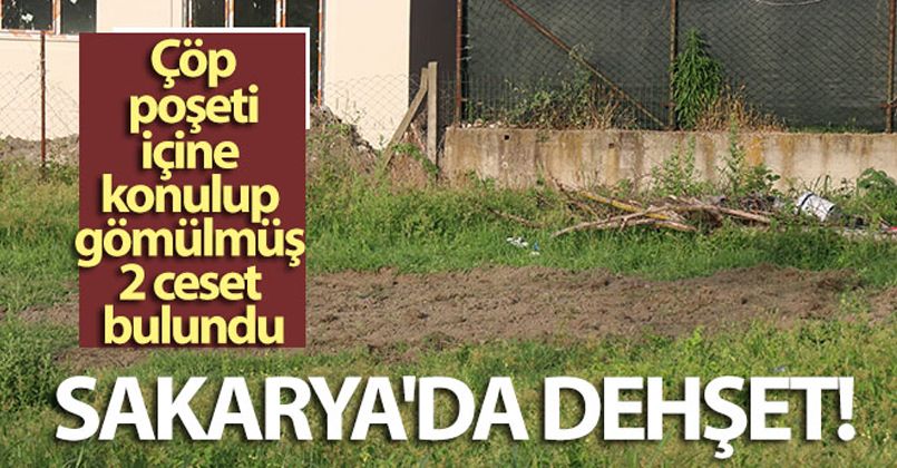 Sakarya'da vahşet, çöp poşeti içine konulup gömülmüş 2 ceset bulundu