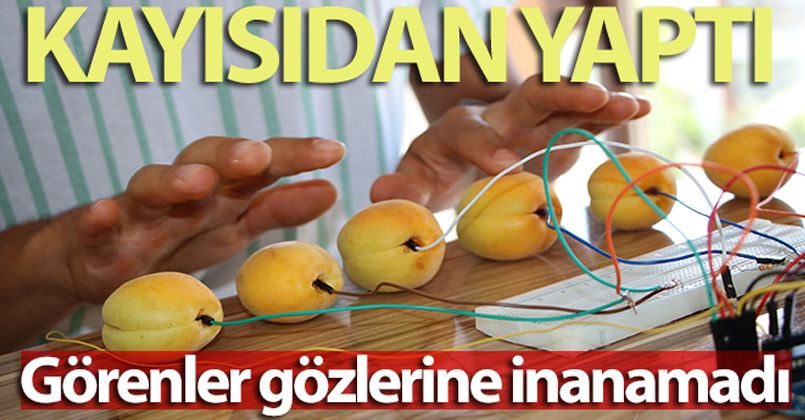 Tuşları kayısıdan olan piyano yaptı, görenler gözlerine inanamadı