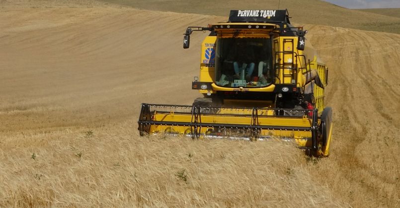 Muş'ta yılın ilk arpa hasadına başlandı