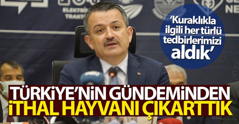 Türkiye'nin gündeminden ithal hayvanı çıkarttık