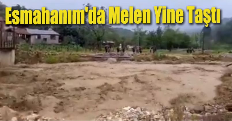 Esmahanım'da Melen Yine Taştı