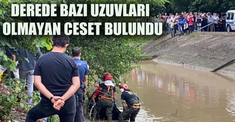 Sakarya'da derede ceset bulundu