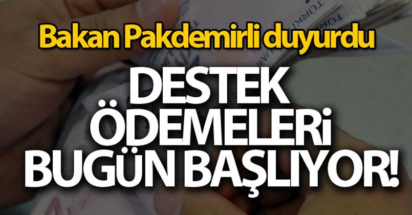 Destek ödemeleri bugün yatırılıyor!