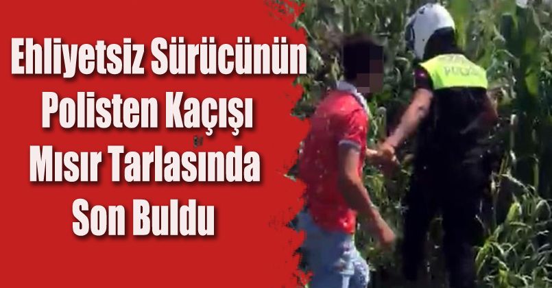 Ehliyetsiz sürücünün polisten kaçışı mısır tarlasında son buldu