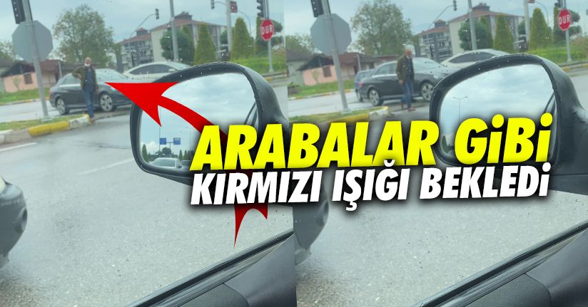 Araçlara yeşil yanınca karşıdan karşıya geçti
