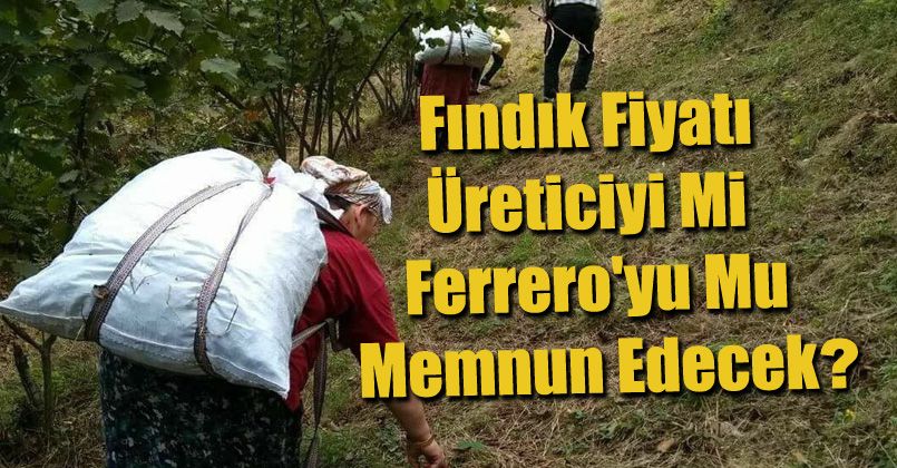 Fındık fiyatı üreticiyi mi Ferrro'yu mu memnun edecek ?