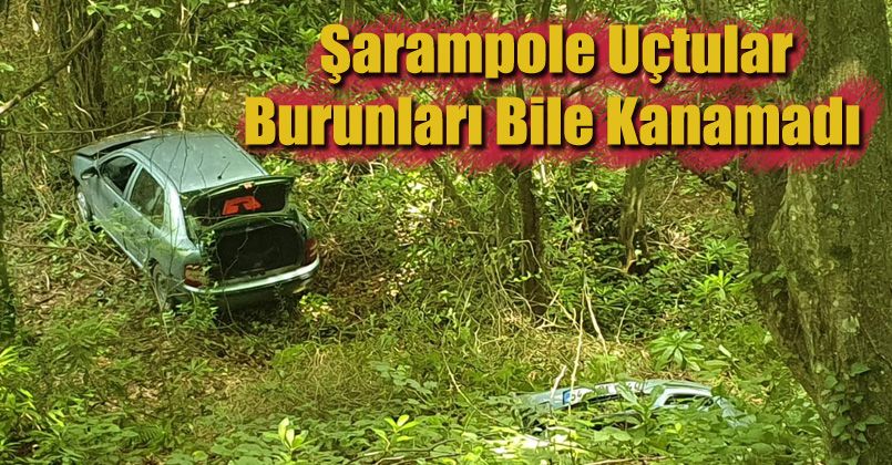 Şarampole uçtular, burunları bile kanamadı