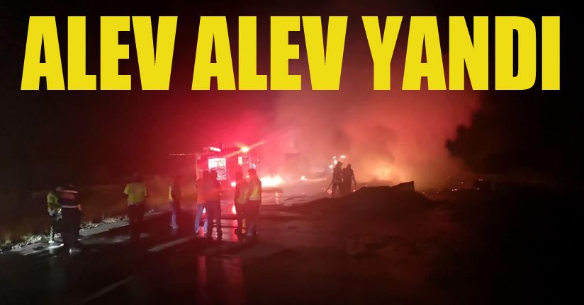 TEM Otoyolu’nda mukavva yüklü kamyon alev alev yandı